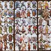 Battlecon Devastation Of Indines - Kit Di Aggiornamento 4a Edizione L99-BC002-RU