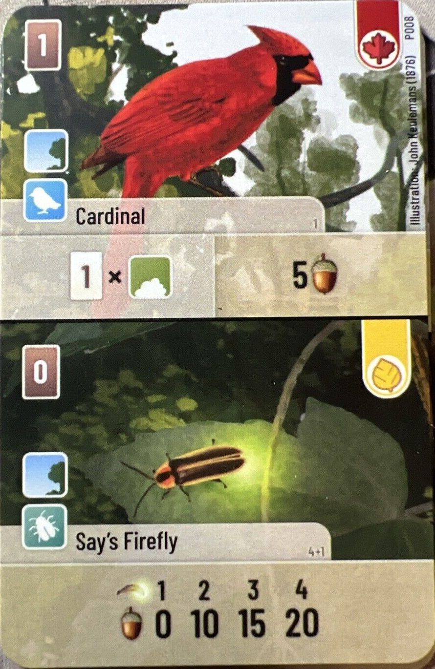 Forest Shuffle: Cardinal / Say&#039;s Firefly Promo Card