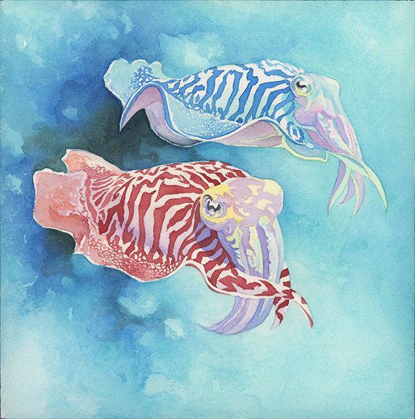 Illustration 10 de Oceans: a standalone game in the Evolution series
