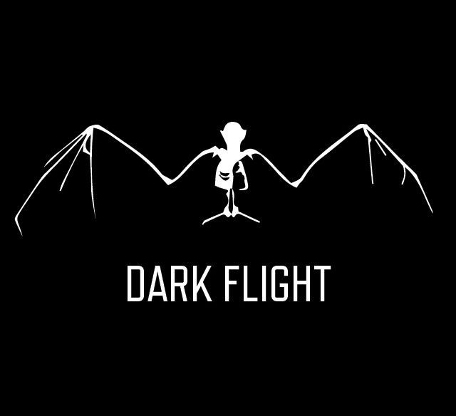 Dark Flight