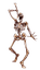 Character: Skeleton (Castlevania)
