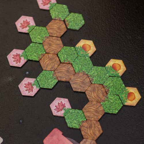 Bonsai Cultivating your own tree and a fun time! REVIEW Bonsai