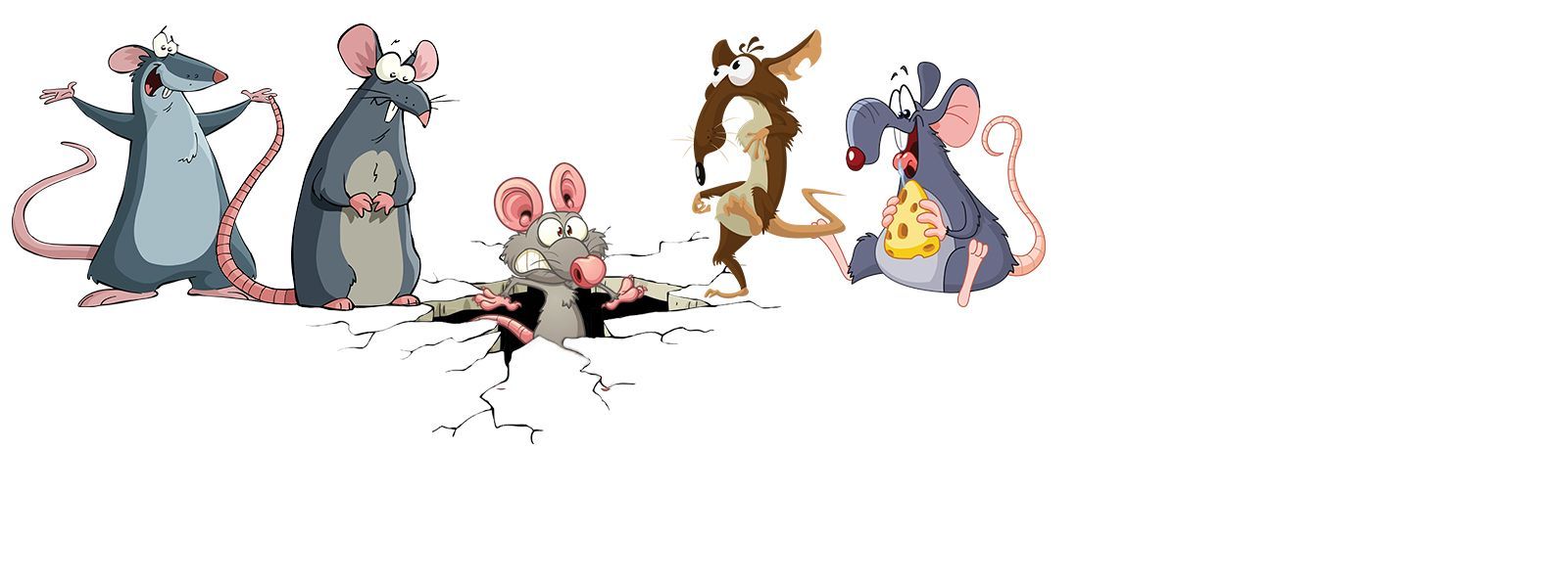 Rats!