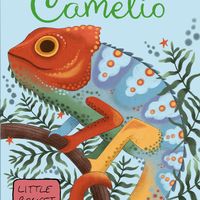 Camelio