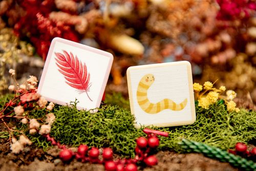 Bidibirdy @ BoardGameColors