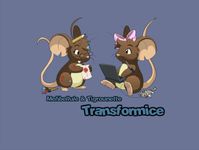 Video Game: Transformice