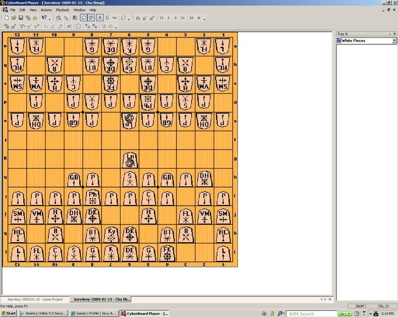 Chu shogi software testing