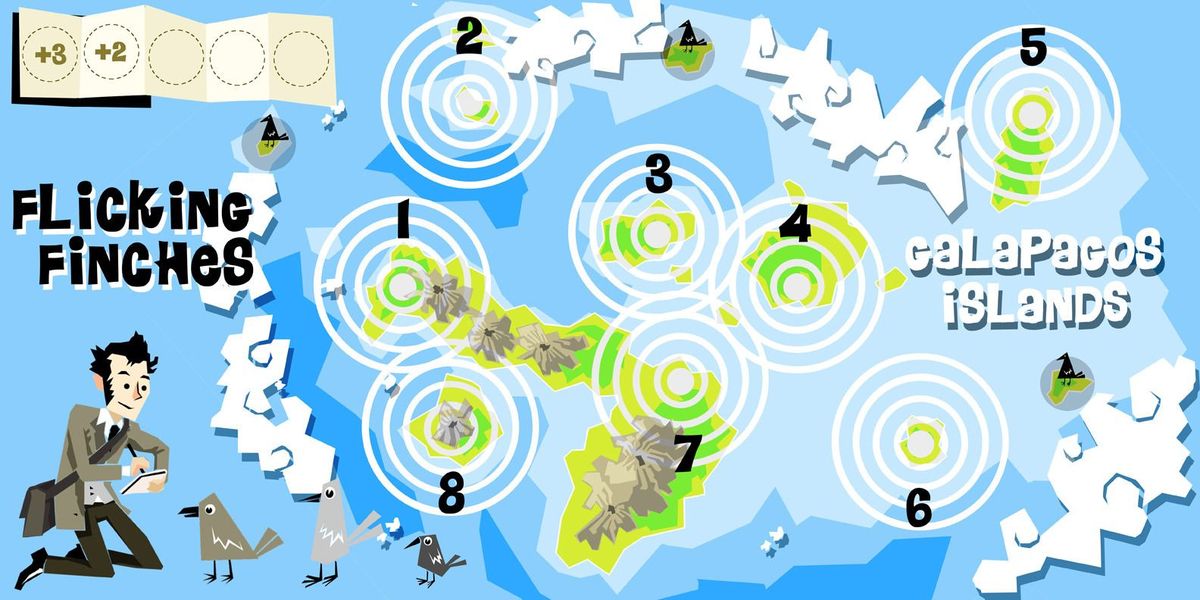 Flicking Finches Board Game BoardGameGeek