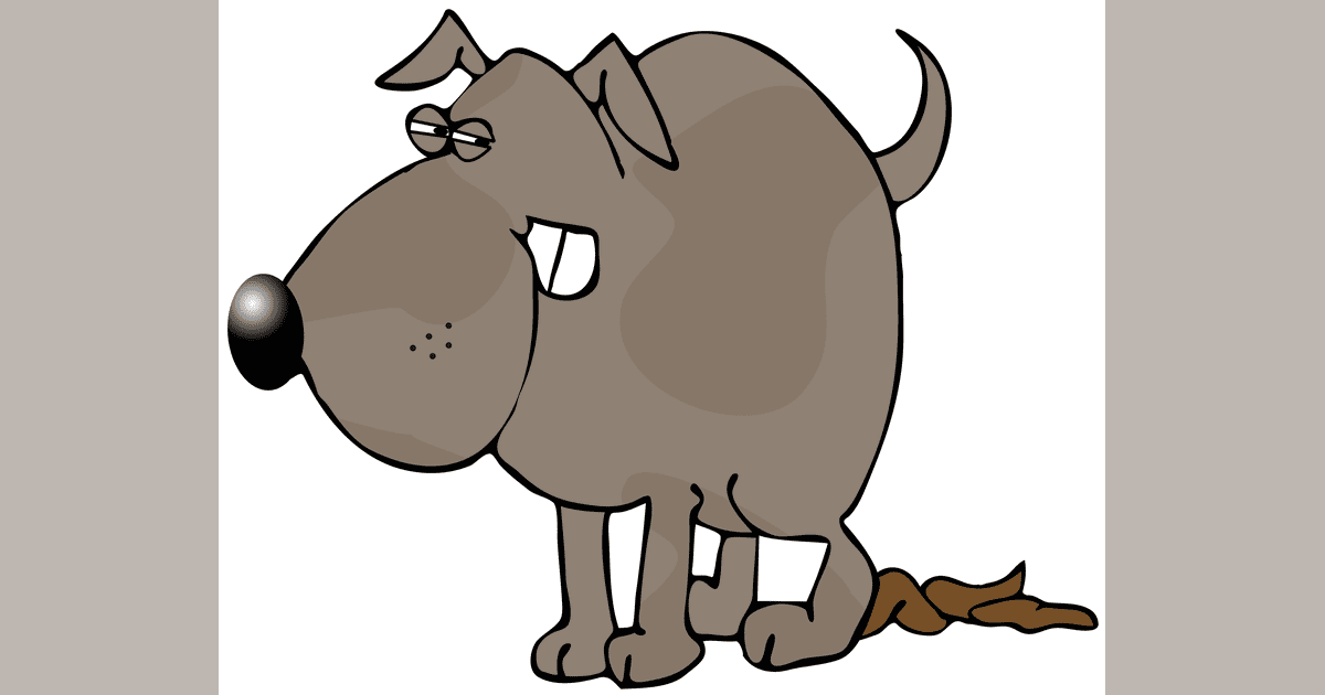 Dog Poop Board Game BoardGameGeek