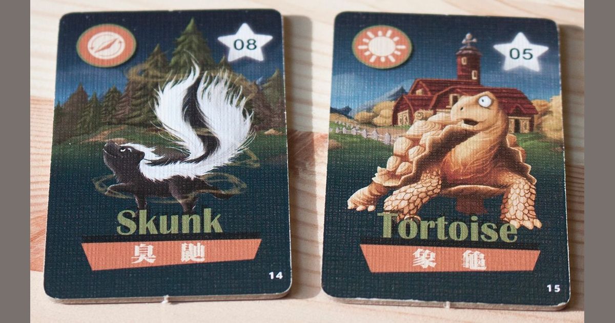 Animals Frightening Night! Tortoise and Skunk Board Game BoardGameGeek