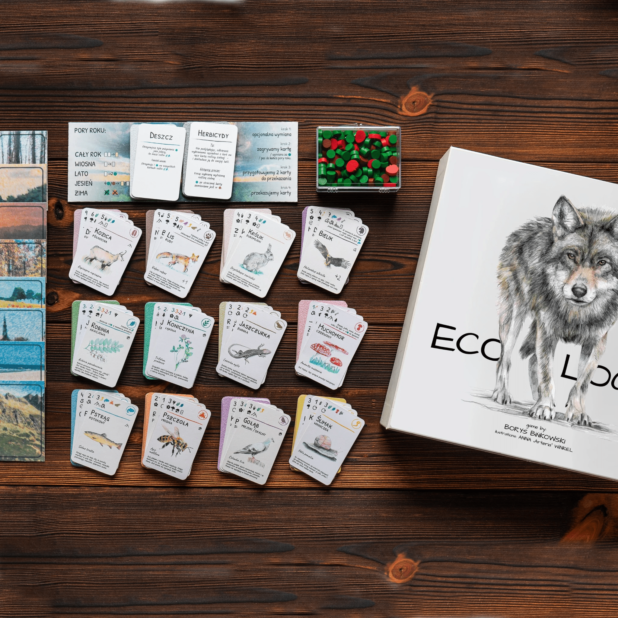 EcoLogic: Europe (Gamefound Edition)