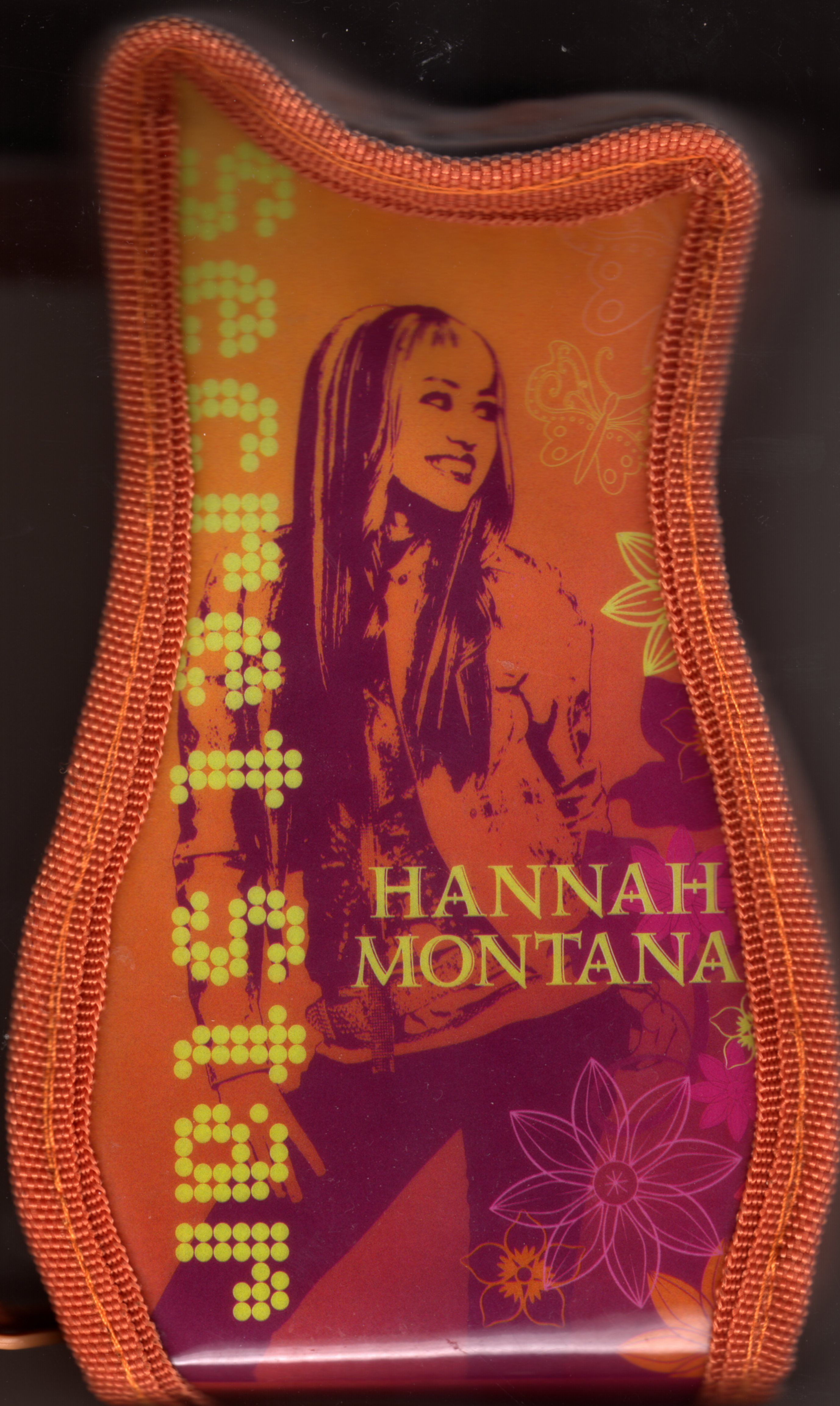 Hannah Montana Fact or Fancy