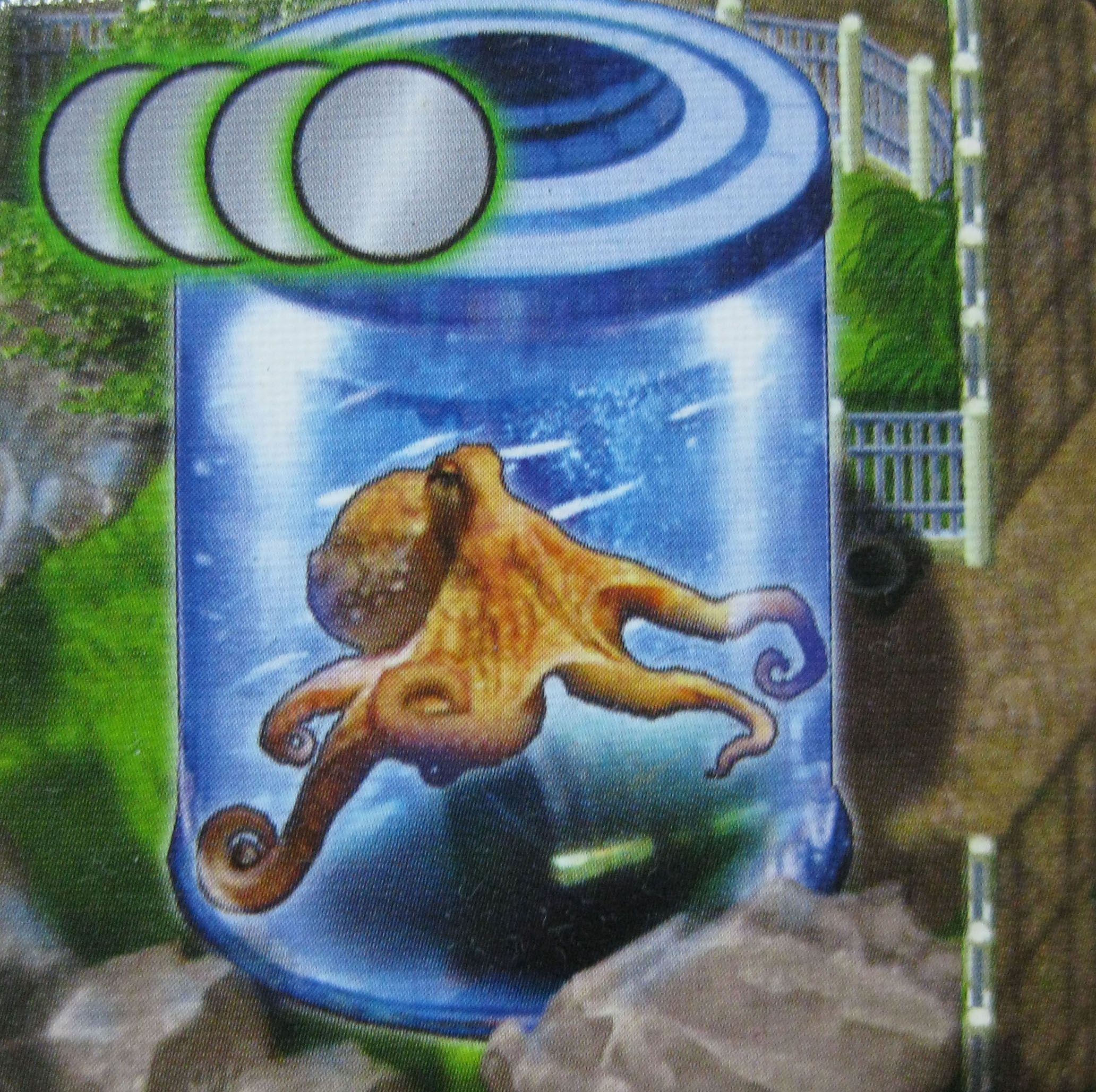 Zooloretto: Octopus