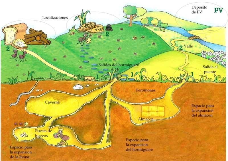 El Juego de las Hormigas