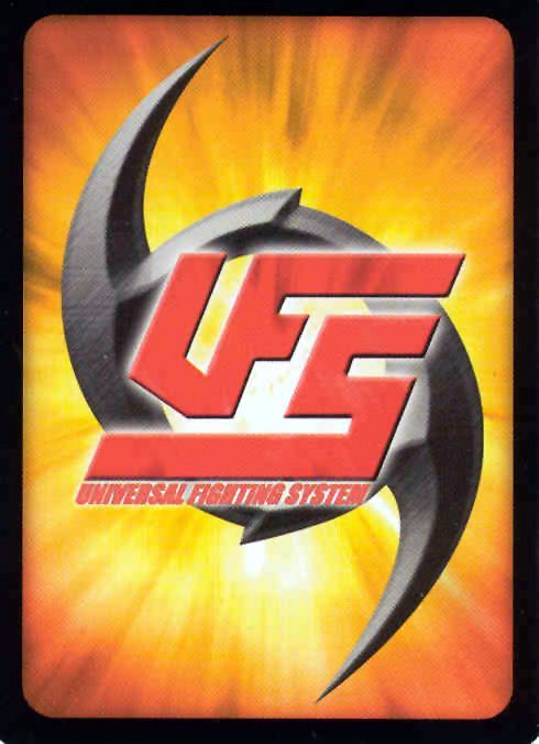Universal Fighting System: Street Fighter