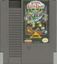 Video Game: Conquest of the Crystal Palace