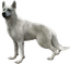 Character: Hewie