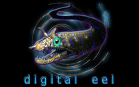 Board Game Publisher: Digital Eel
