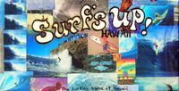 Surf's Up! Hawaii