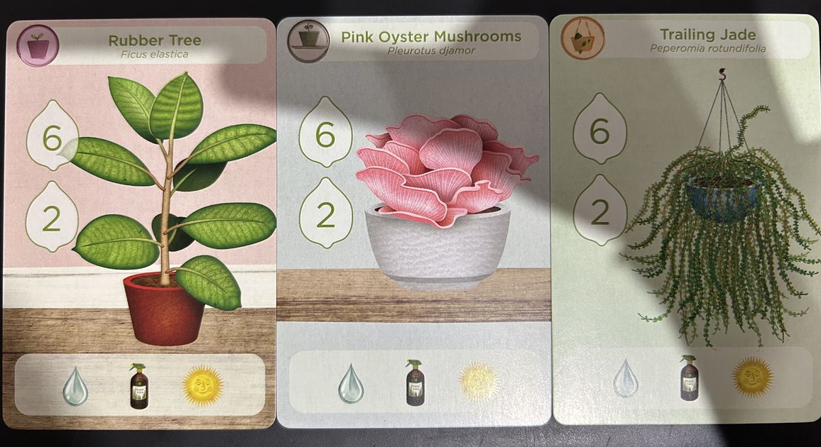 Planted Plants Promo Board Game BoardGameGeek