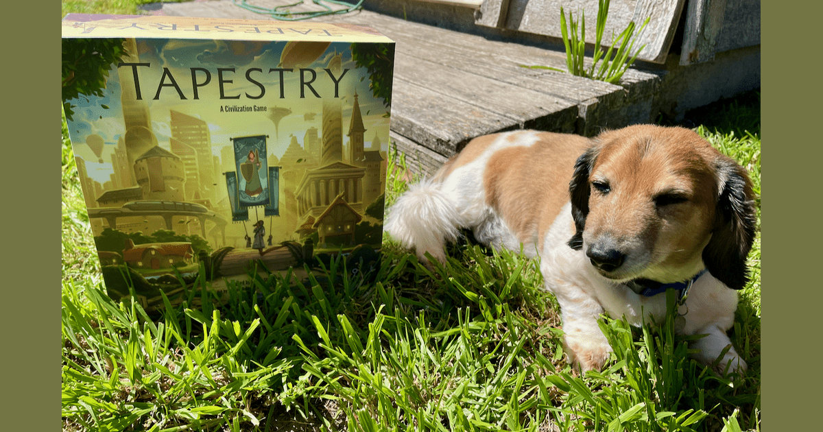 Paws For Reflection Fletcher's First Impressions of Tapestry Mostly