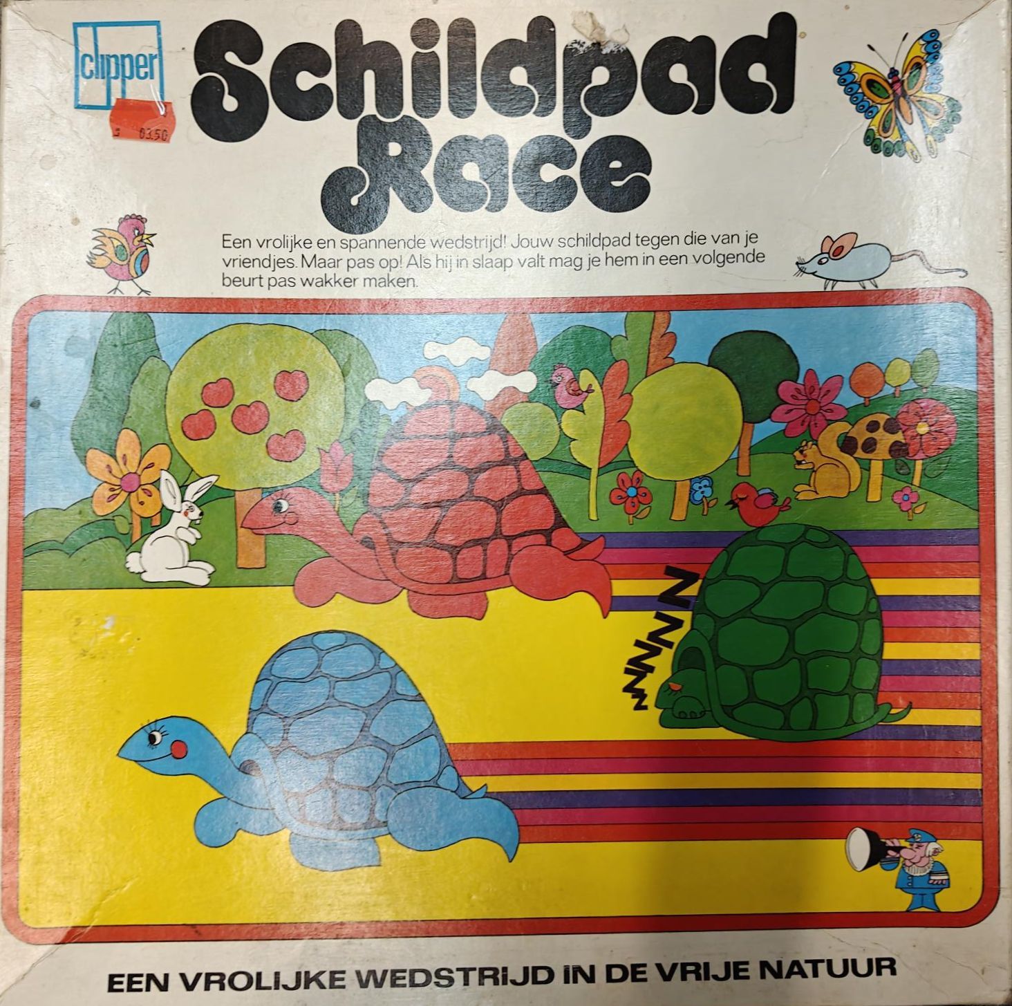 Cover art for The Great Turtle Race