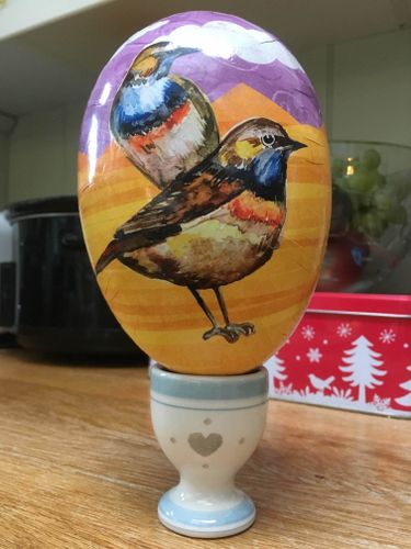 Board Game: Piepmatz