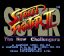 Video Game: Super Street Fighter II