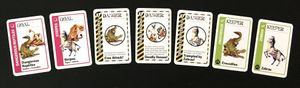 Jumanji Fluxx: Bonus Pack