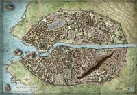 RPG Item: Neverwinter Campaign Map