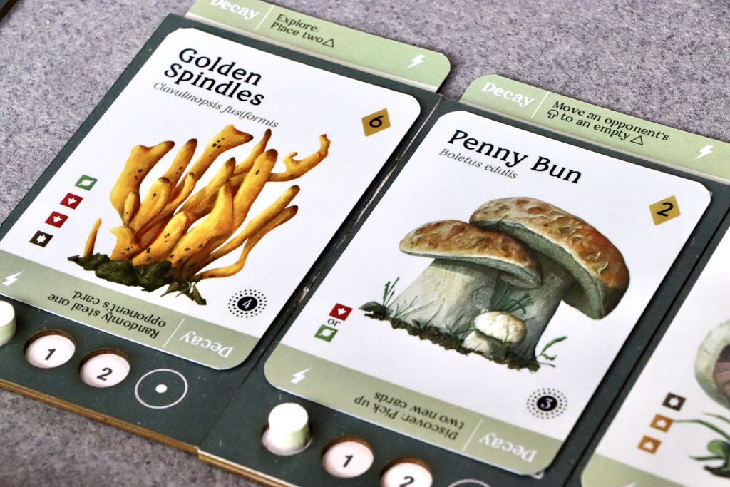 Illustration 12 de Mycelia | The Strategic Mushroom Game