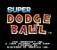 Video Game: Super Dodge Ball