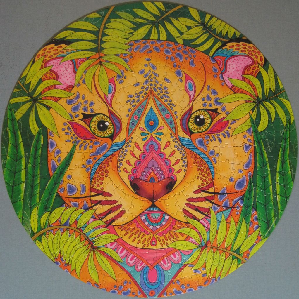 From gallery of Jude