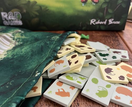 Board Game: The Glade