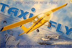 Taxi Fly