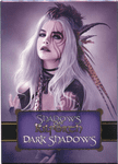 Board Game Accessory: Shadows of Kilforth: A Fantasy Quest Game – Dark Shadows