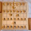 OTB Internationalized Tori Shogi Pieces : r/shogi