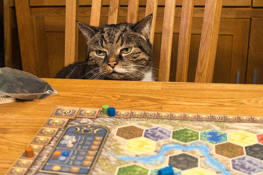 Illustration 3 de TERRA MYSTICA BIG BOX