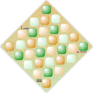 Laita
