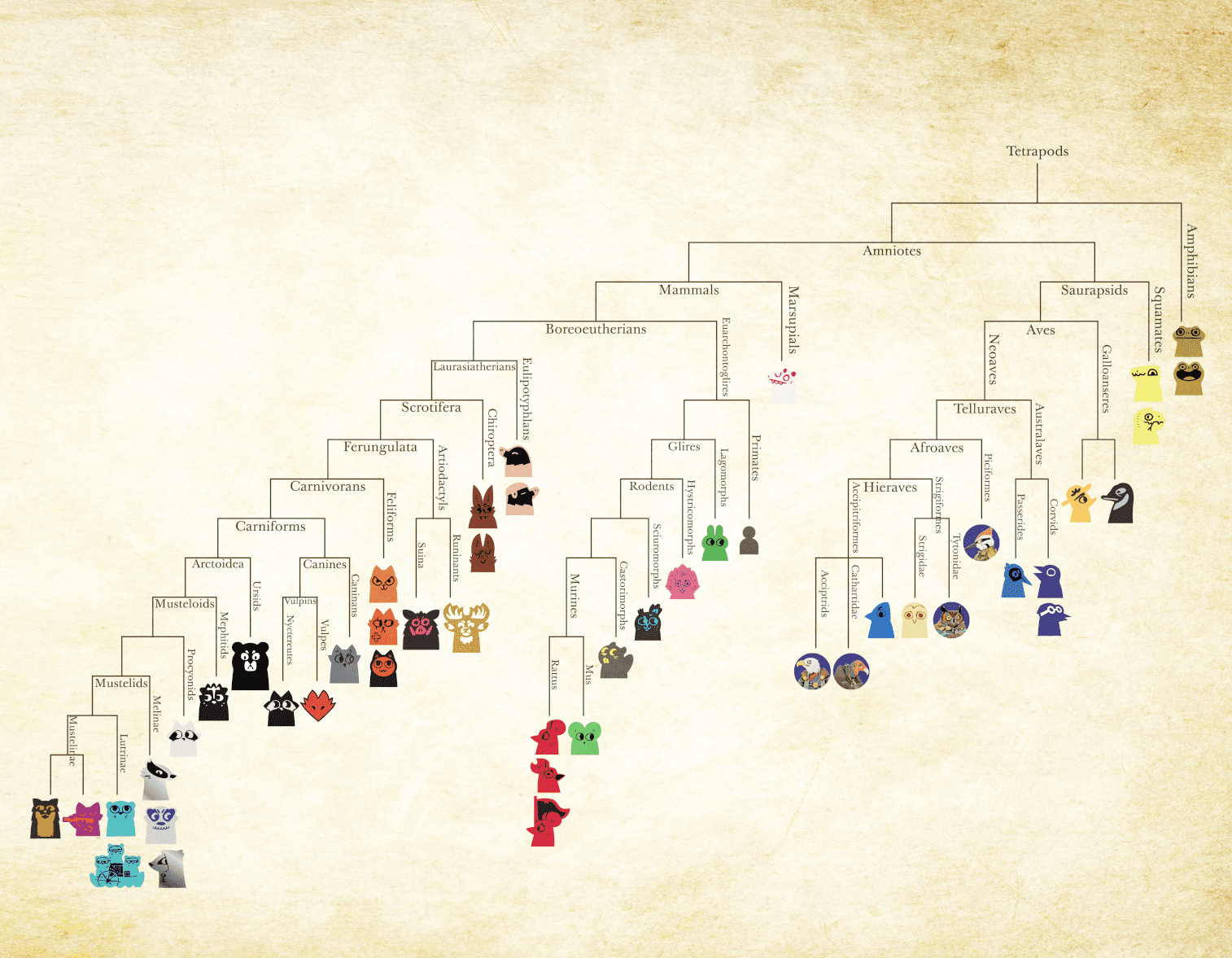 Root: Phylogeny of Meeples | Root