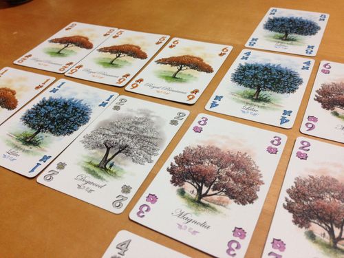 Board Game: Arboretum