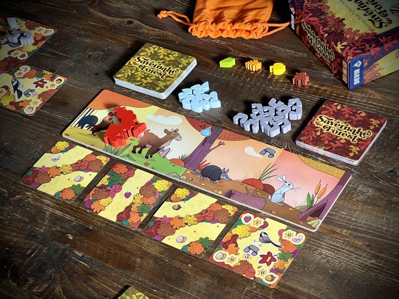 Setup of the game