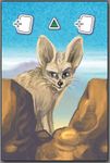 Keine lahme Agame: Fennek Expansion
