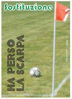Wildcat Soccer