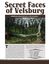 Issue: EONS #152 - Secret Faces of Velsburg