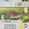 Forest Shuffle: Robin / Water Vole Promo Card