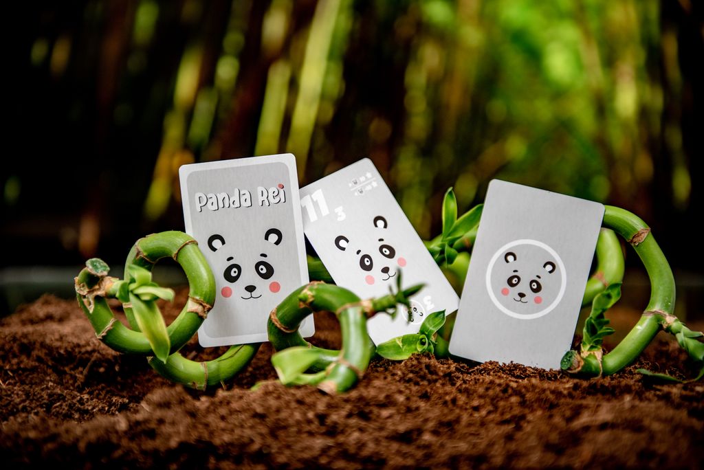 https://cf.geekdo-images.com/r54ANT-QAH5Vk7Neq3lEzw__large/img/qP5e2MSvs9IYhR9vGNxWj14w0xE=/fit-in/1024x1024/filters:no_upscale():strip_icc()/pic8709889.jpg