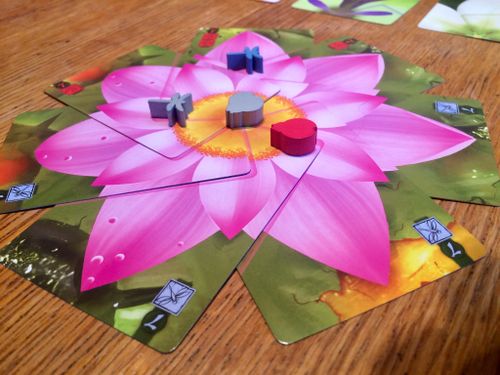 Board Game: Lotus
