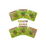 Board Game: Carcassonne: The Fruit-Bearing Trees