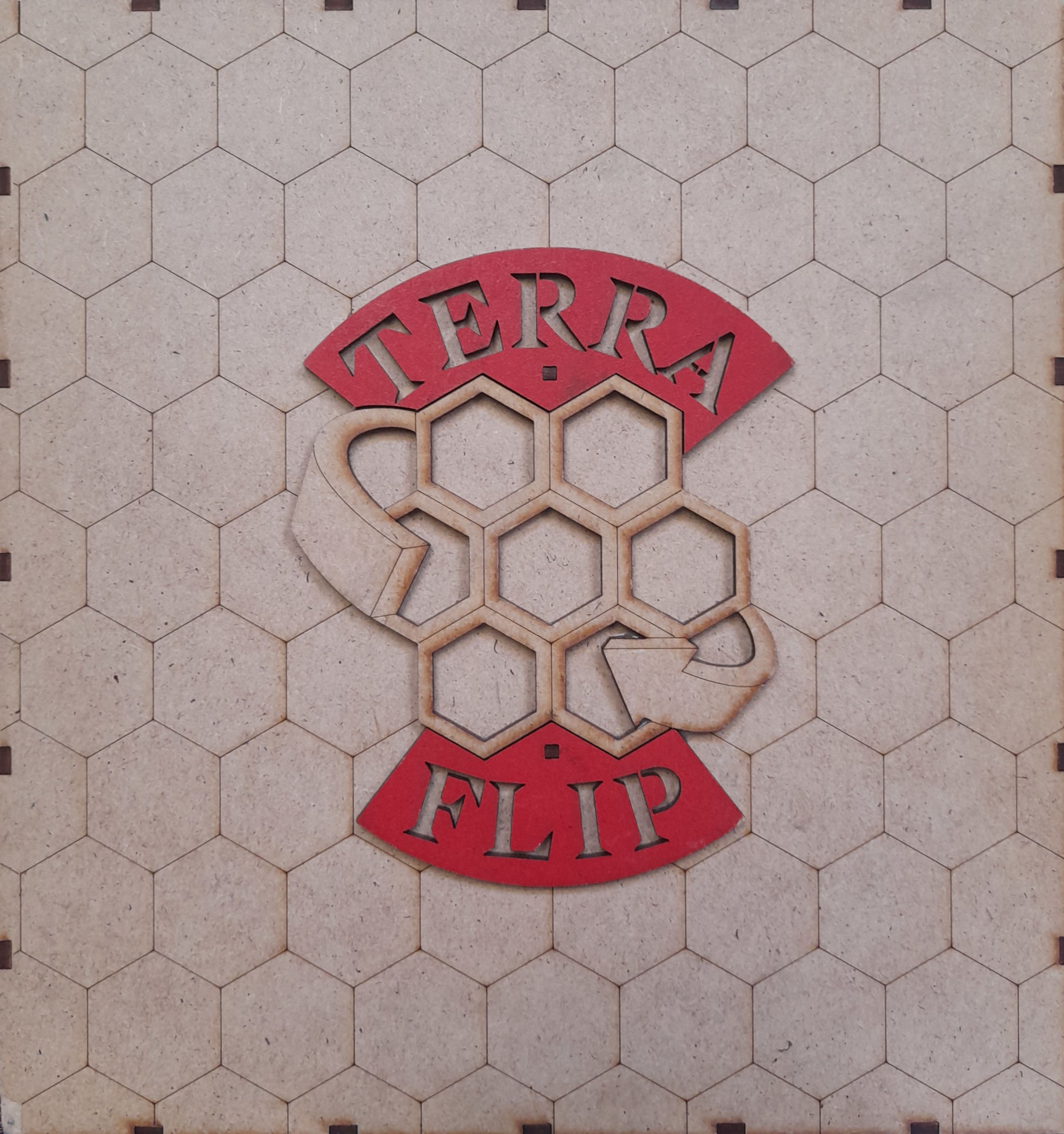 Terraflip